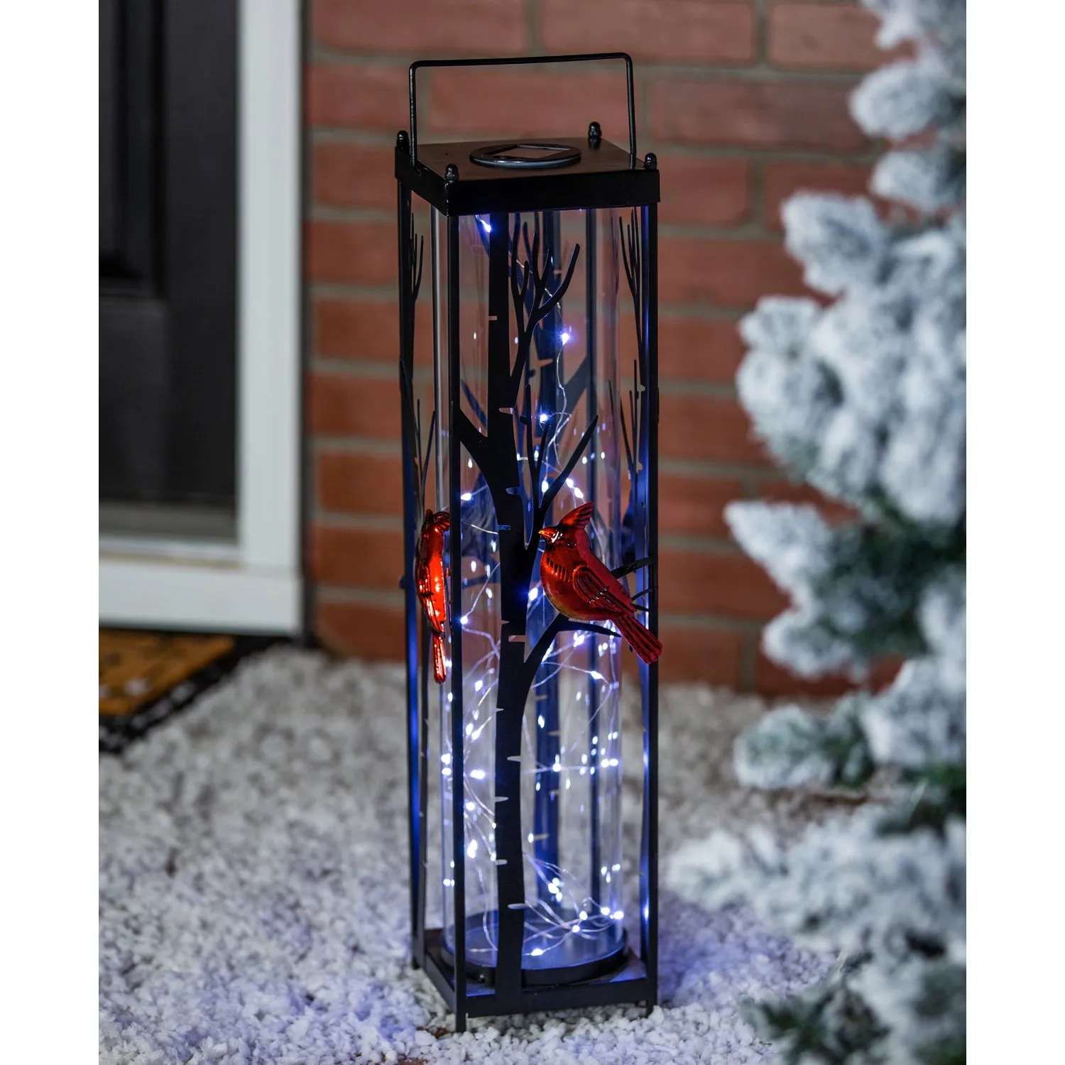 22.5"H Solar Statement Lantern, Cardinal on Birch Branch,5.5"x5.5"x22.64"inches