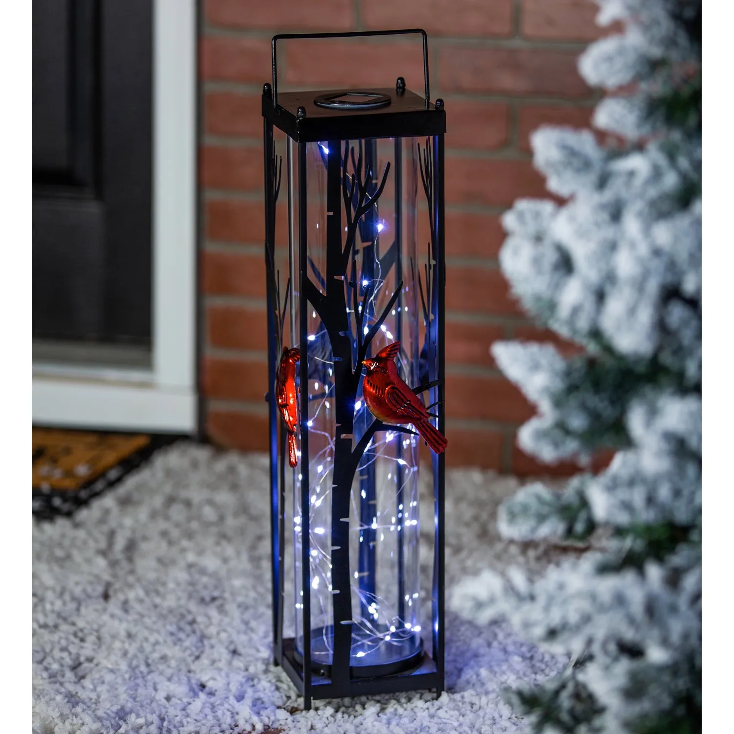 22.5"H Solar Statement Lantern, Cardinal on Birch Branch,5.5"x5.5"x22.64"inches