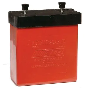 Nite Lite Rechargeable 6 Volt 8 Amp Battery